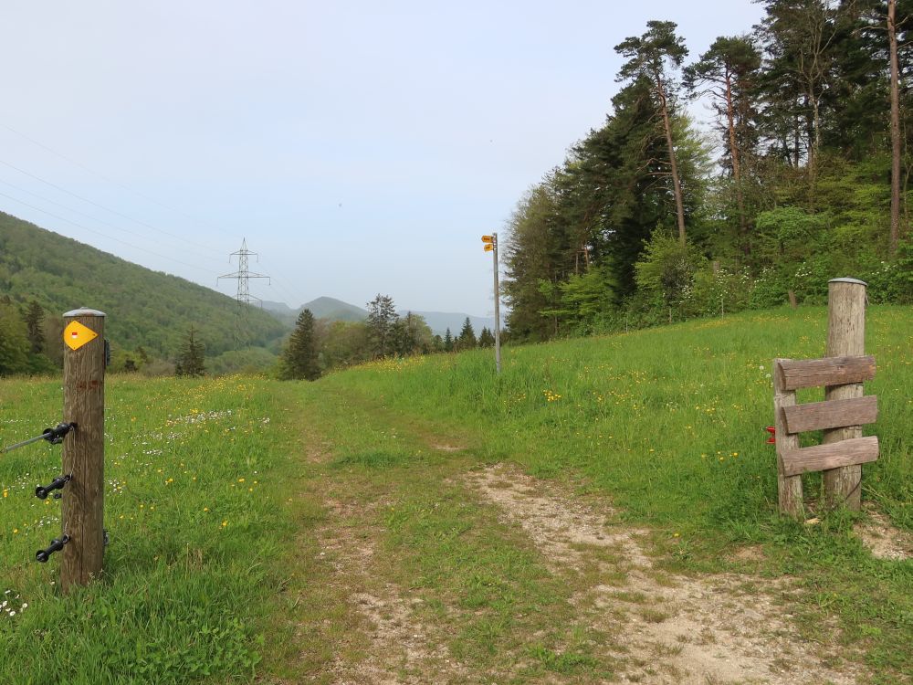 Wiesenpfad mit Wegmarkierung