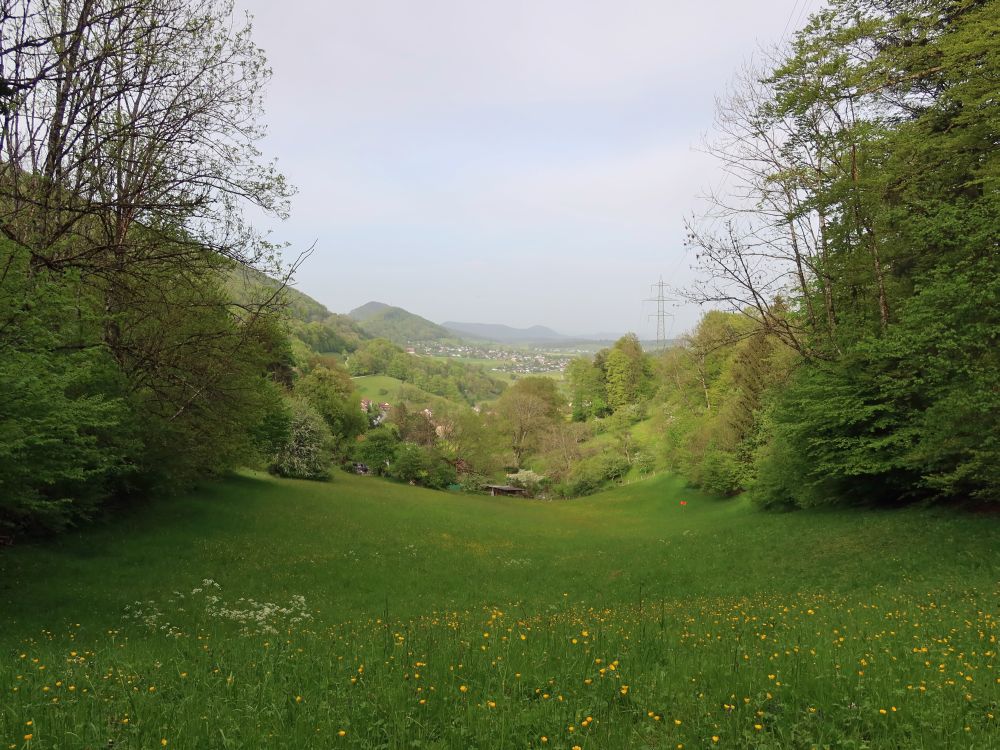 Blick Richtung Lostorf