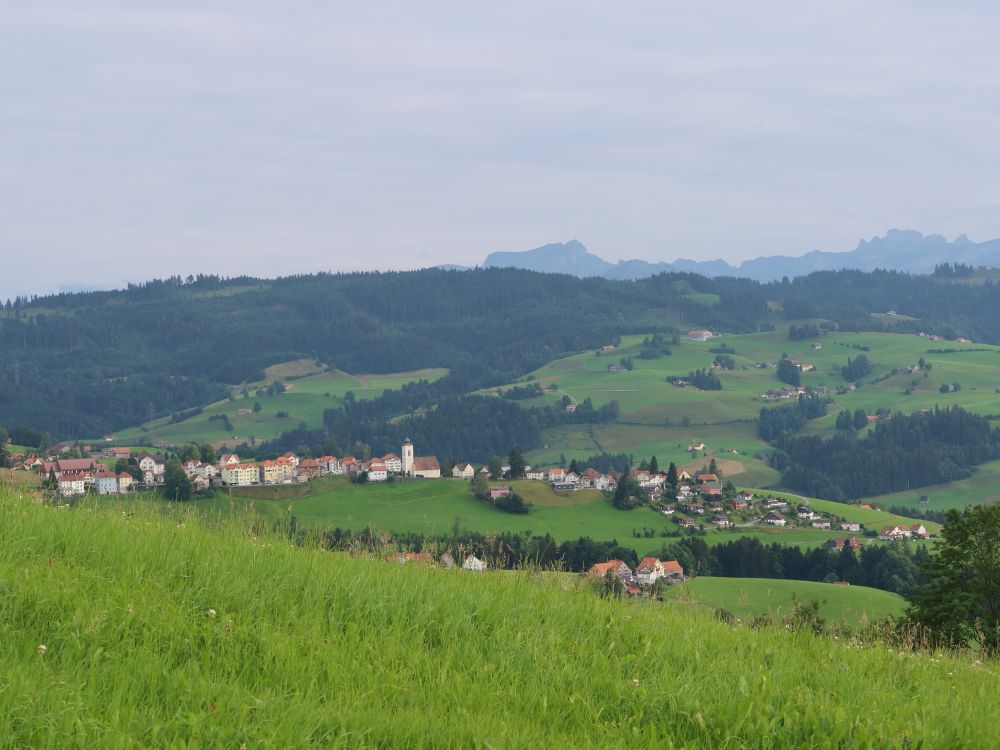 Wald mit Hoher Kasten im Hintergrund