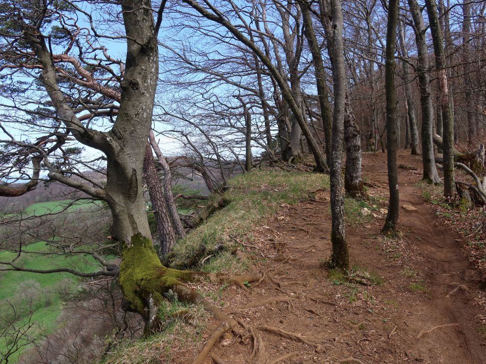 Pfad an der Bergkante