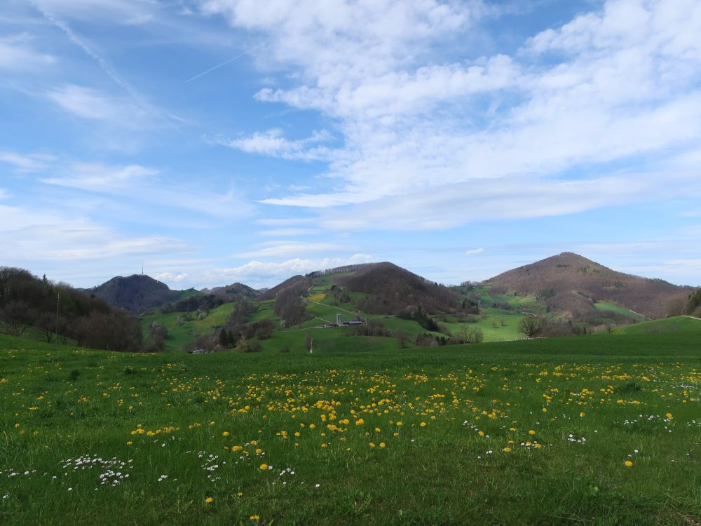 Wasserflue, Herzberg und Strihen