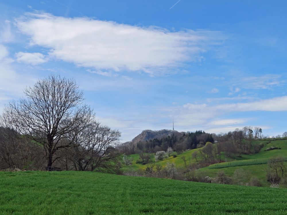 Blick Richtung Wasserflue