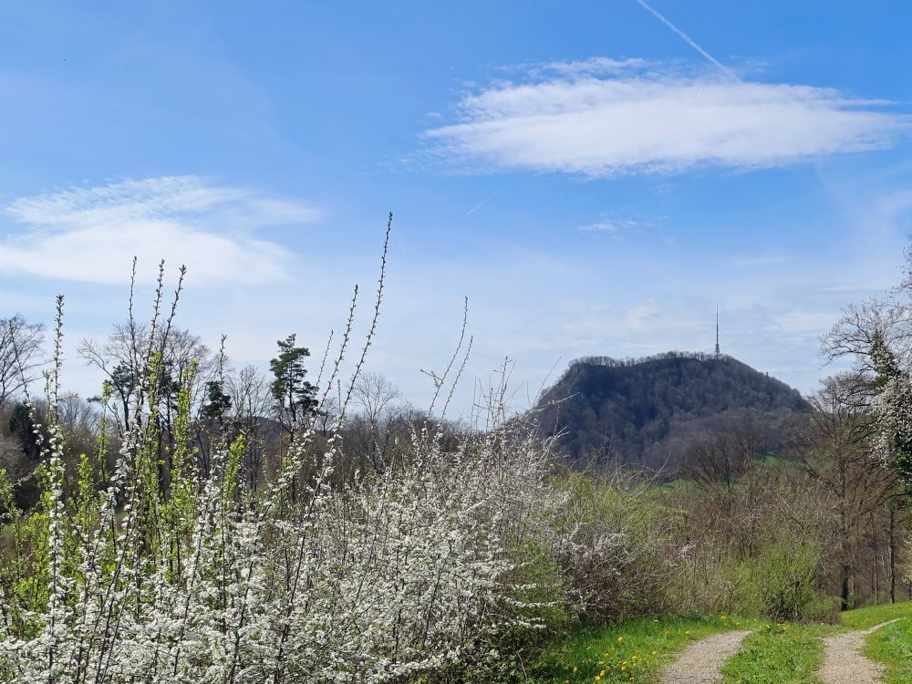 Blick Richtung Wasserflue