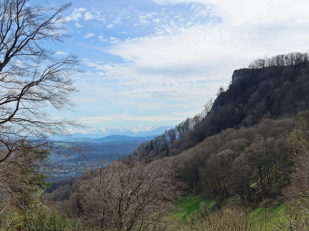 Wasserflue und Alpen