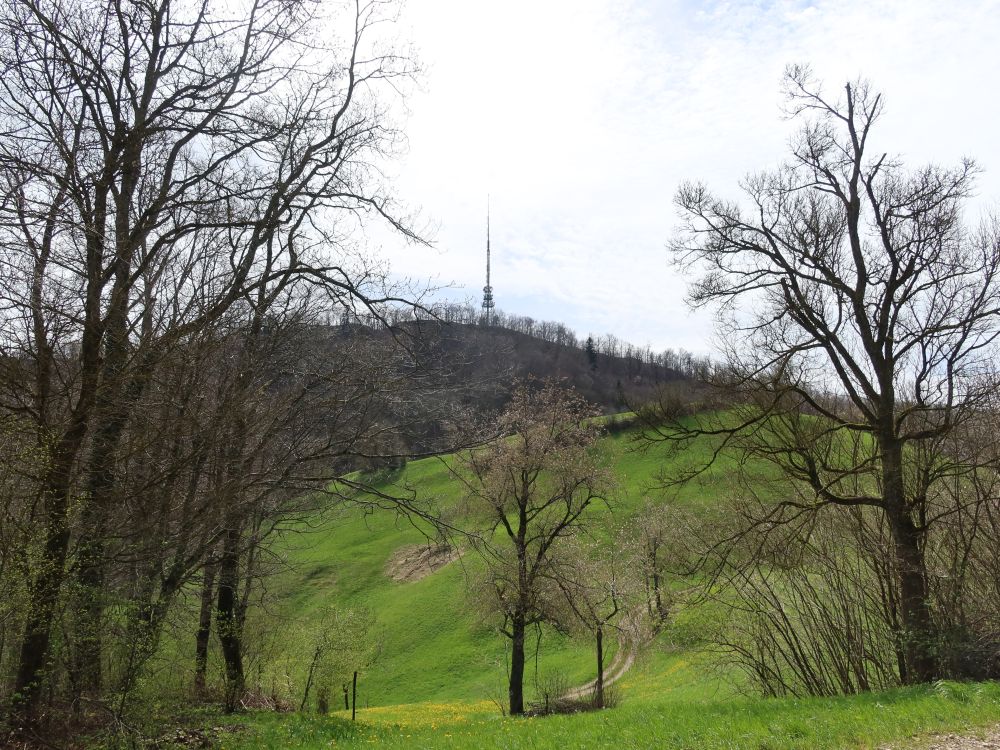 Sendeturm Wasserflue