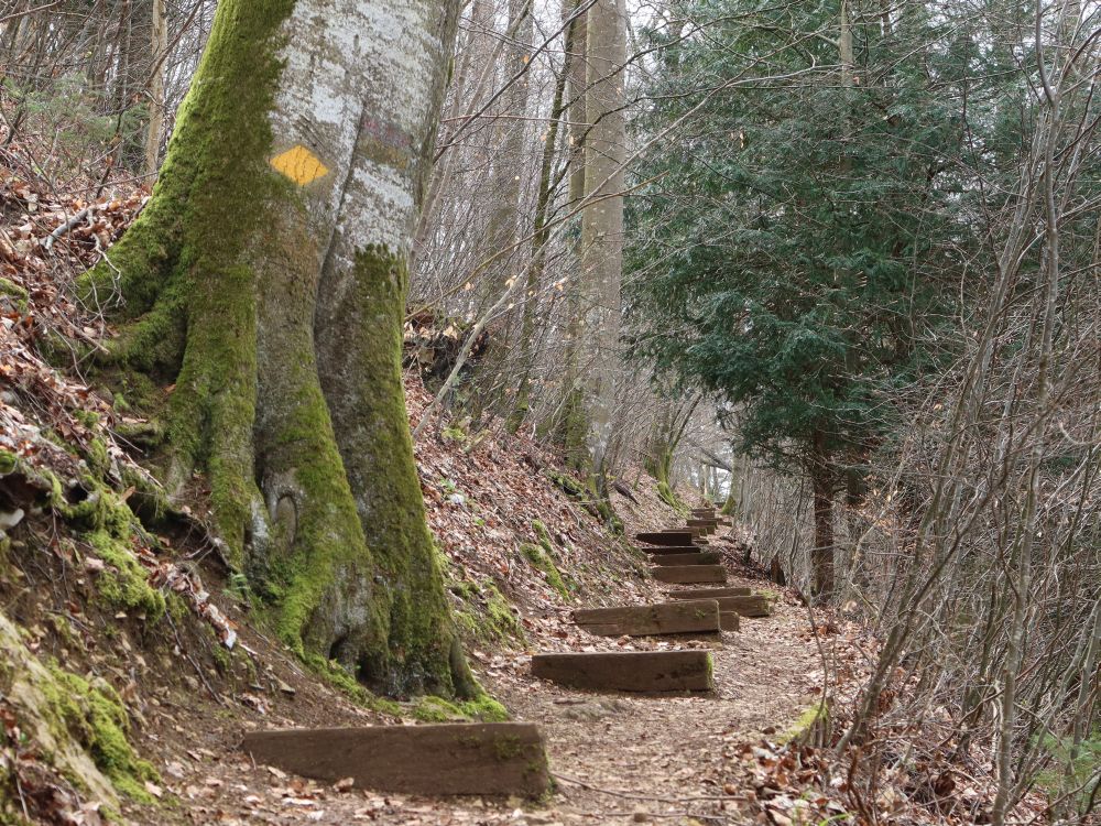 Treppe an der Wegholde