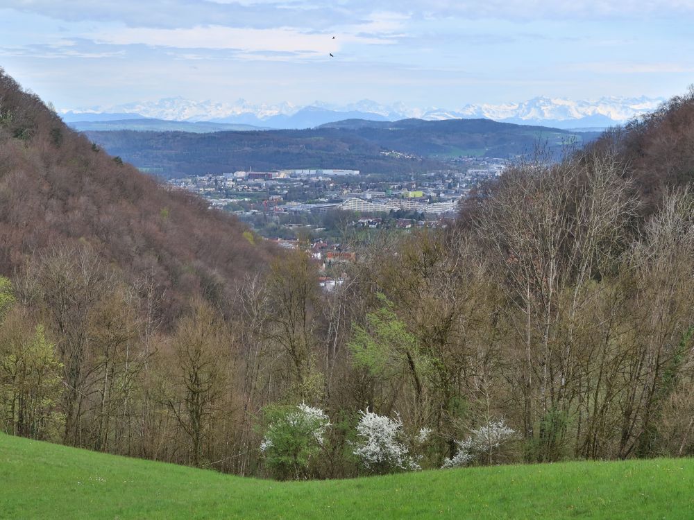 Aarau und Alpen