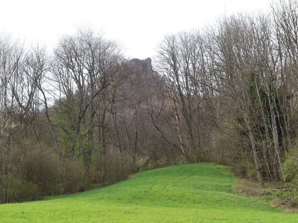 Wasserflue zwischen Bäumen