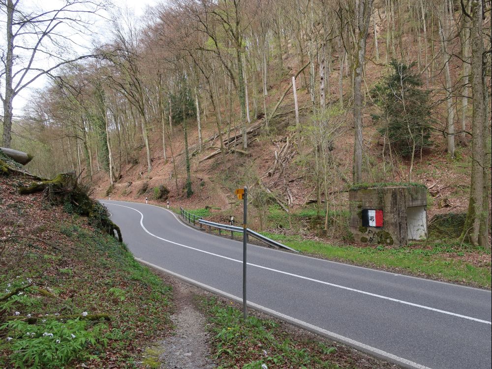 Wanderpfad quert Benkenstrasse