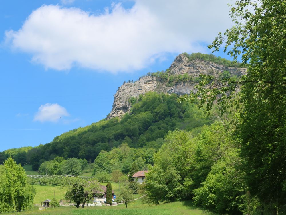 Geissflue
