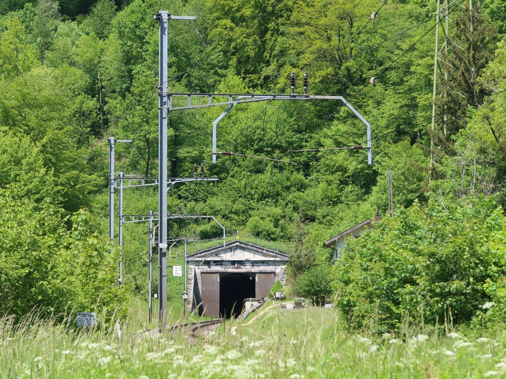 Eisenbahntunnel mit Tor