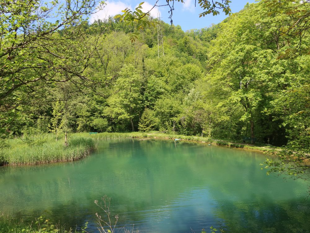 Fischteich