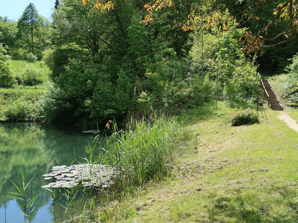 Treppe am Teich