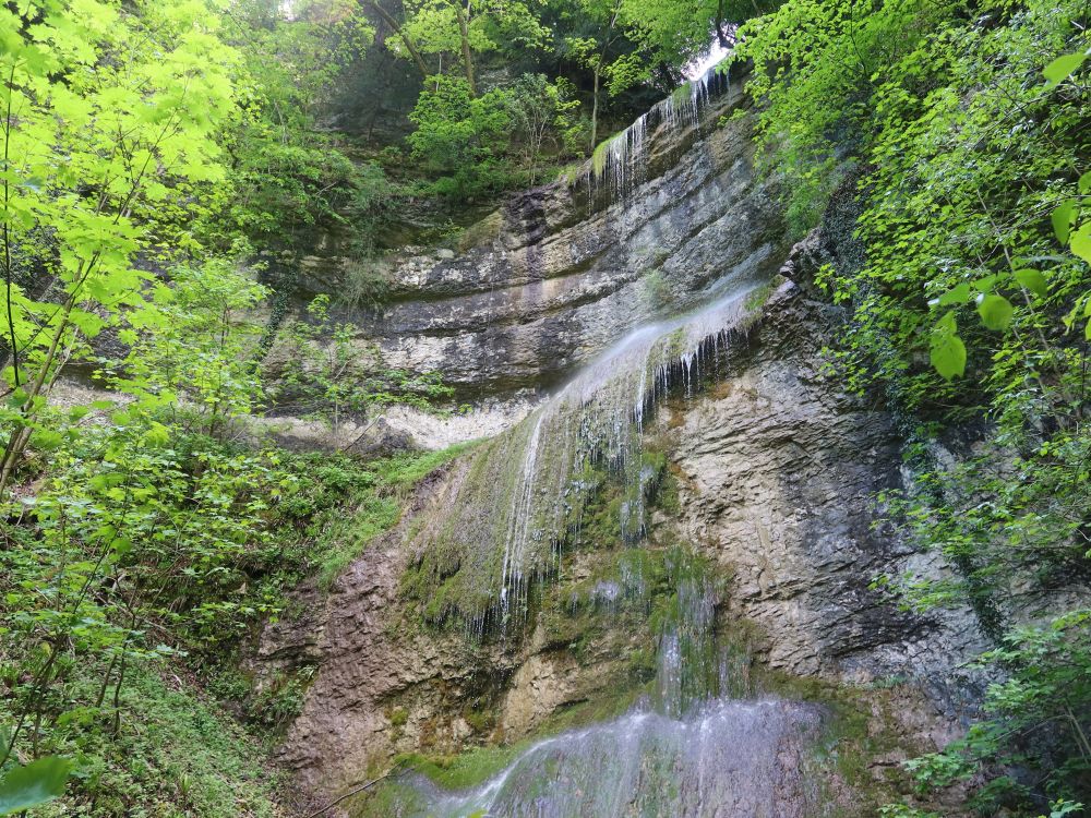Trimbacher Wasserfall