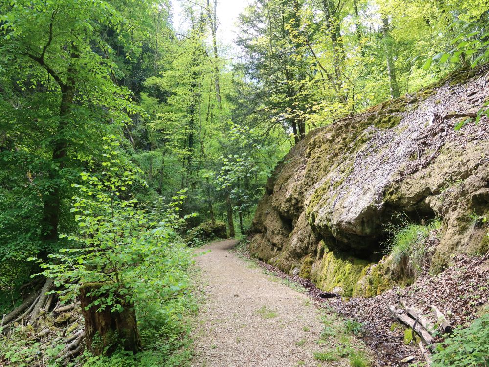 Weg am Grabenbach