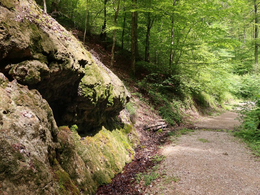 tropfender Fels