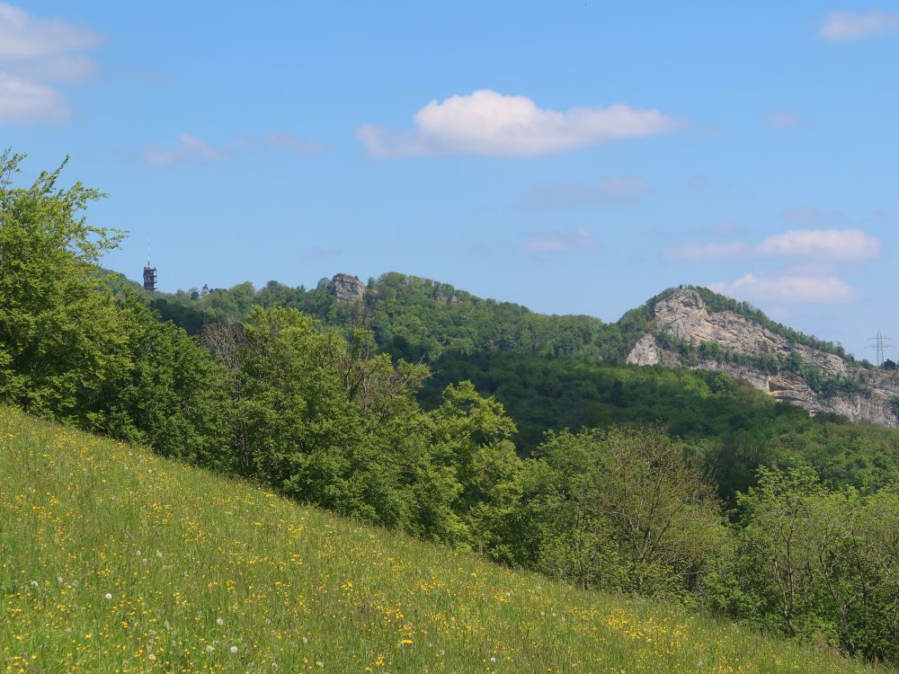 Ruine Froburg und Geissflue