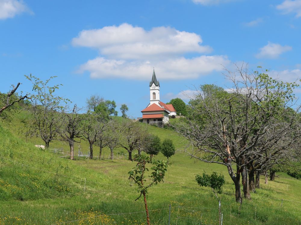 Pfarrkirche St. Katharina