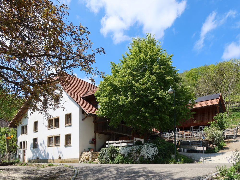 Bauernhof in Ifenthal
