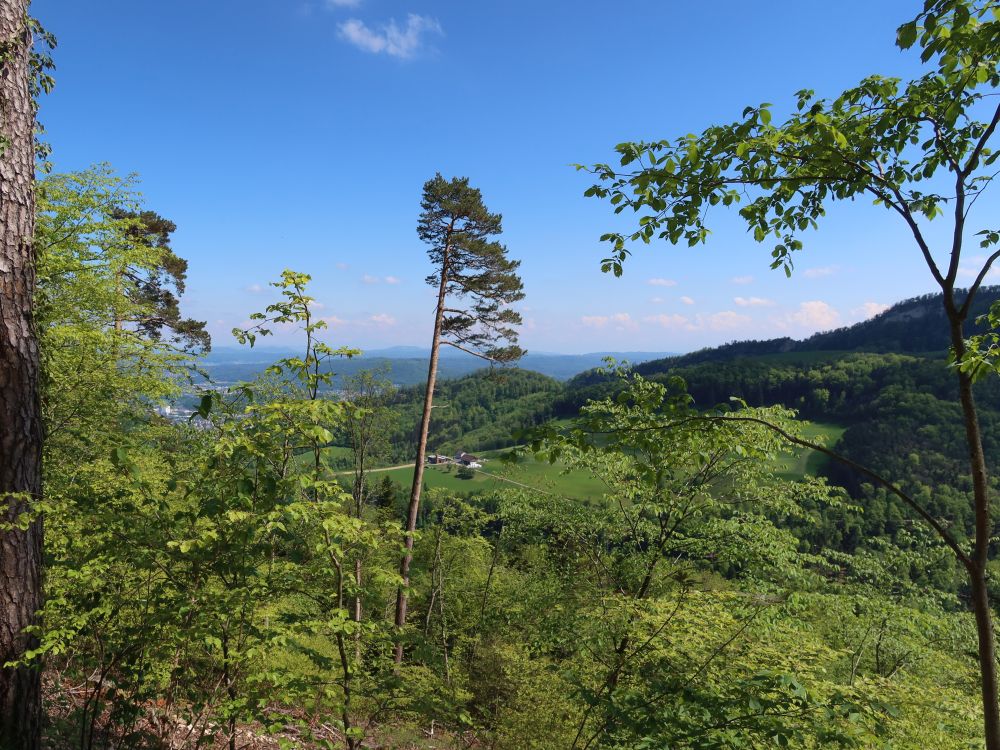 Oberwald