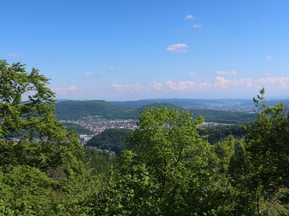Olten und Sälischlössli