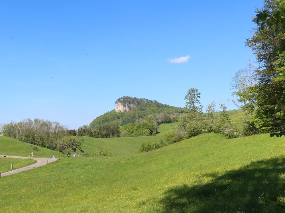 Flueberg (Wisner Flue)
