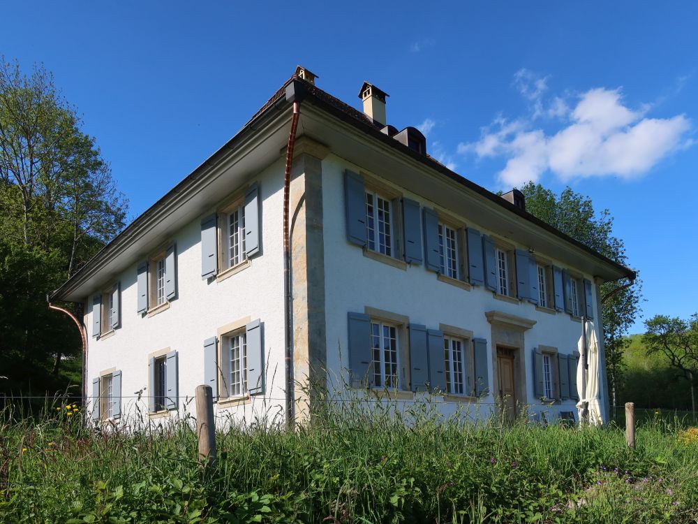 Unter Erlimoos