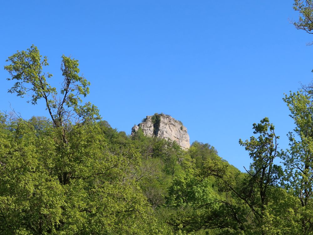 Burgruine Froburg