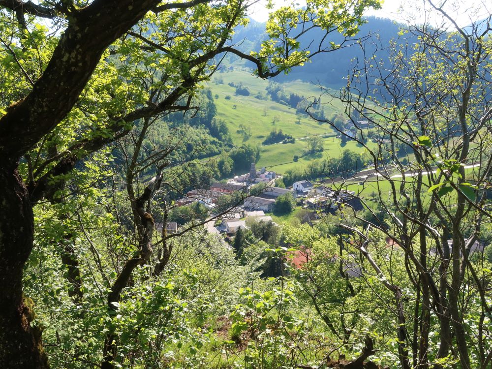 Blick auf den Hindutempel