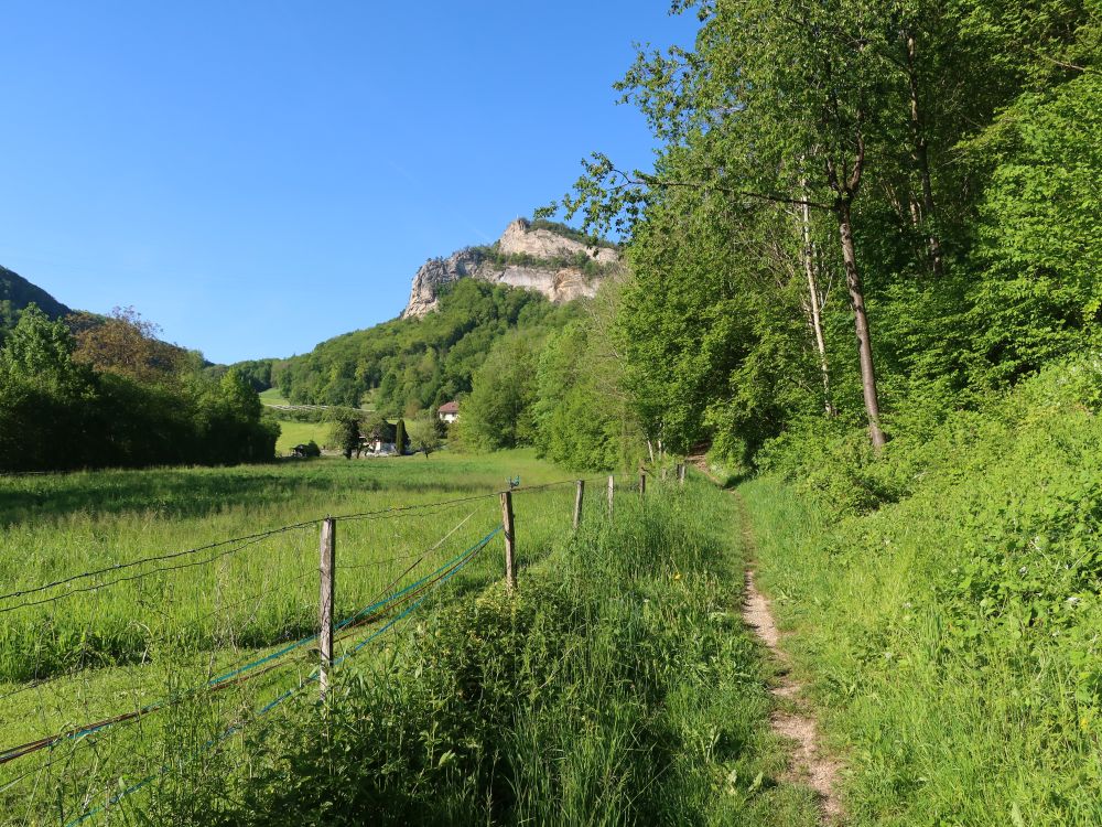 Geissflue