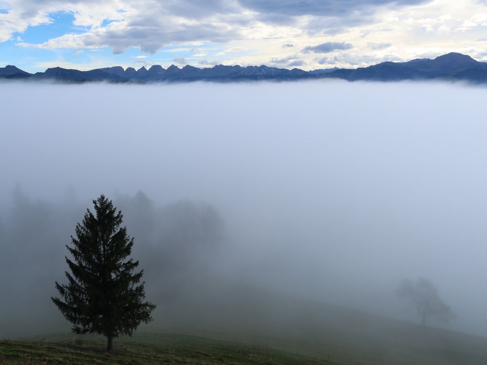 Lütispitz, Churfirsten und Speer