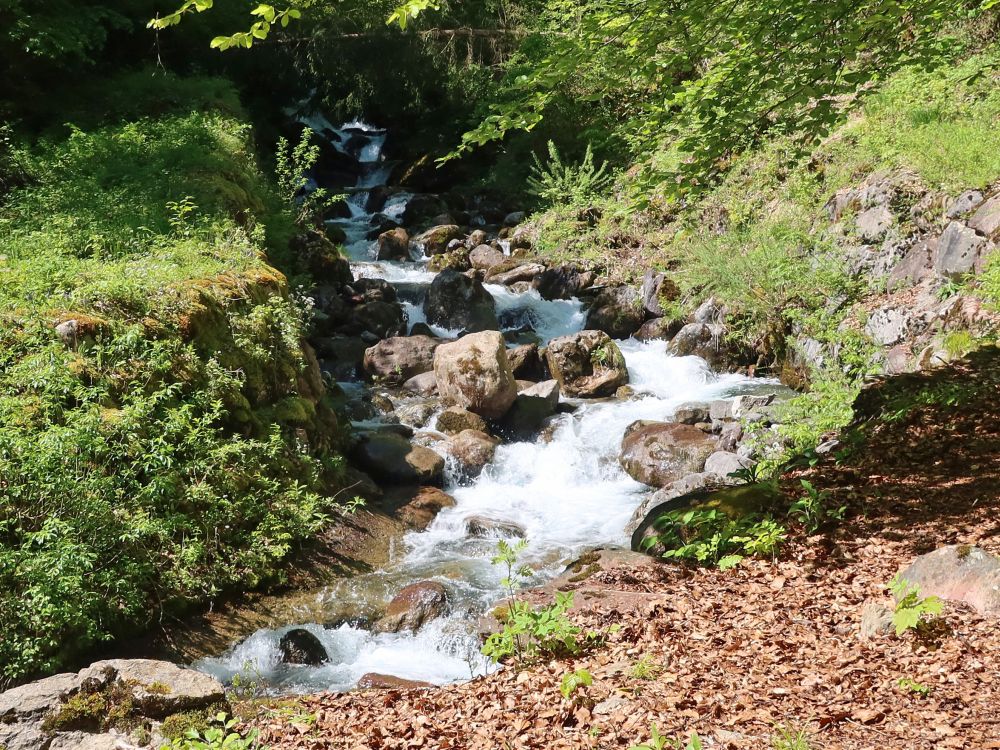 Meerenbach