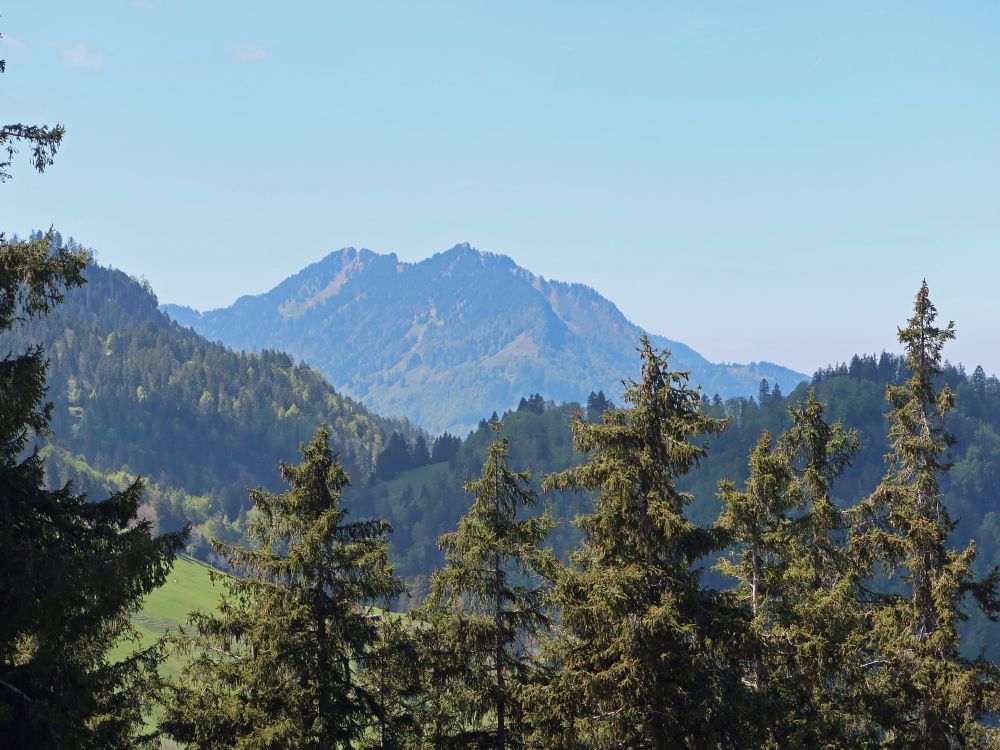 Hirzli