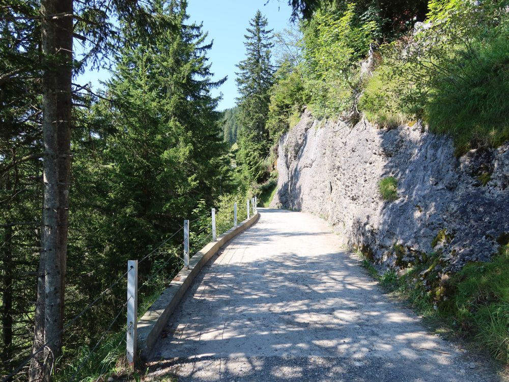 Oberer Firstweg
