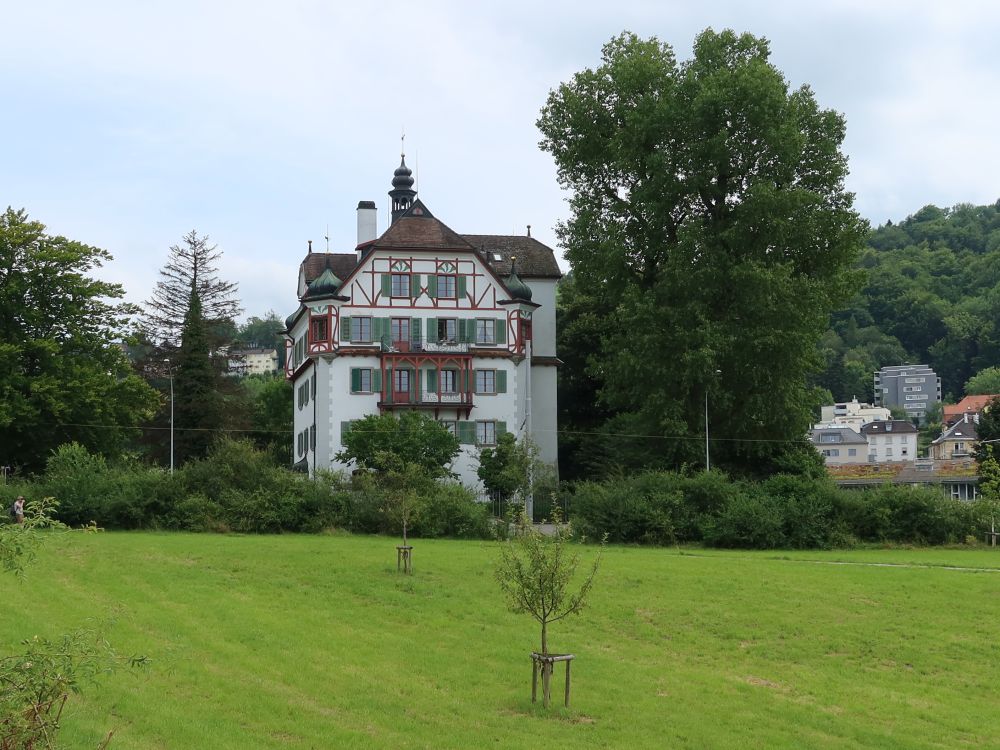 Burg Waldegg