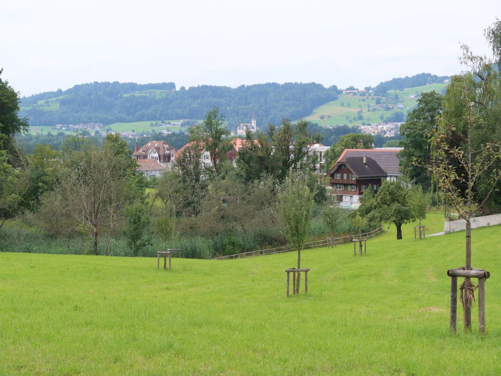 Burgweiher Park