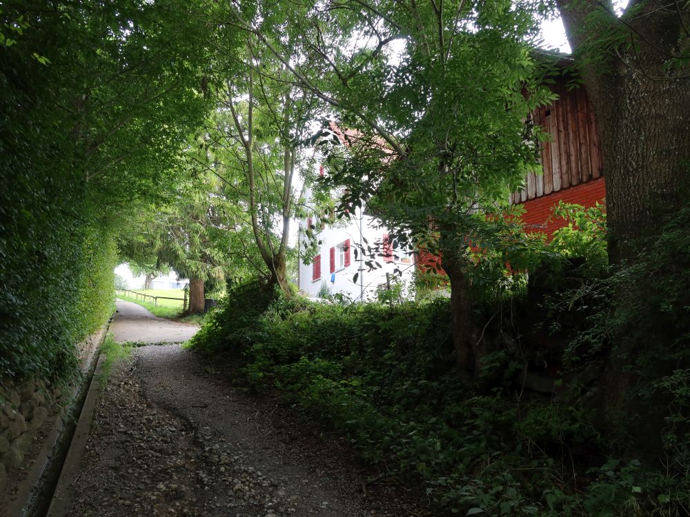 Höggersbergweg