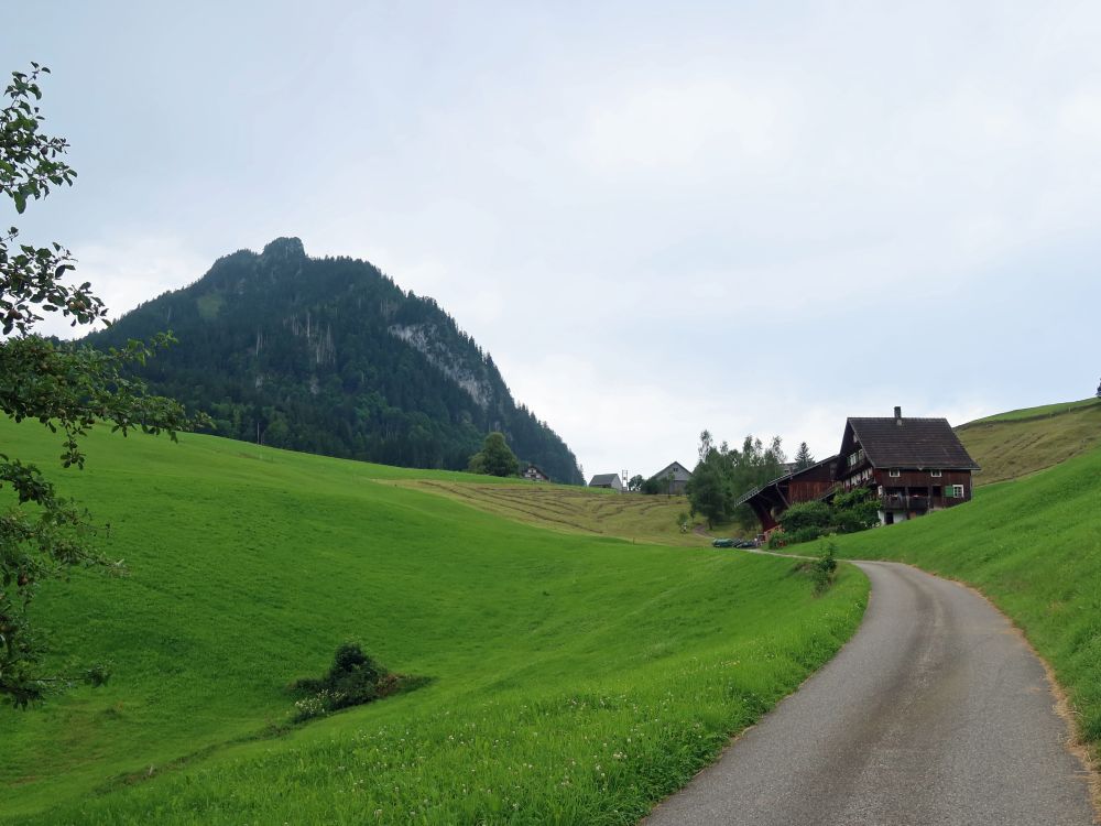 Goggeien