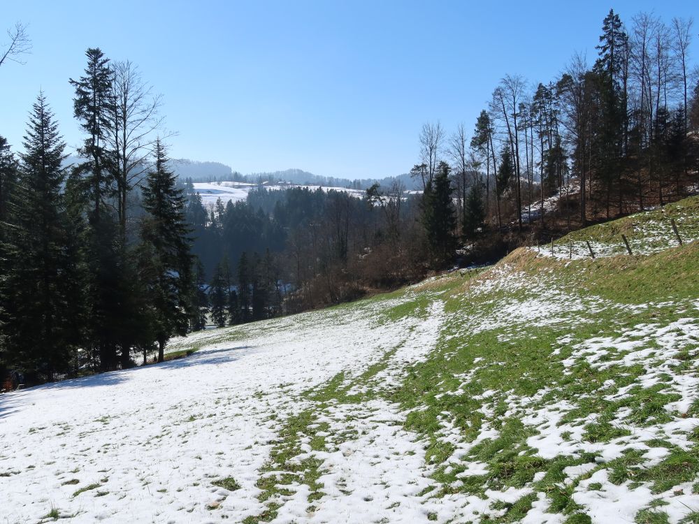 schneebedeckter Wiesenpfad