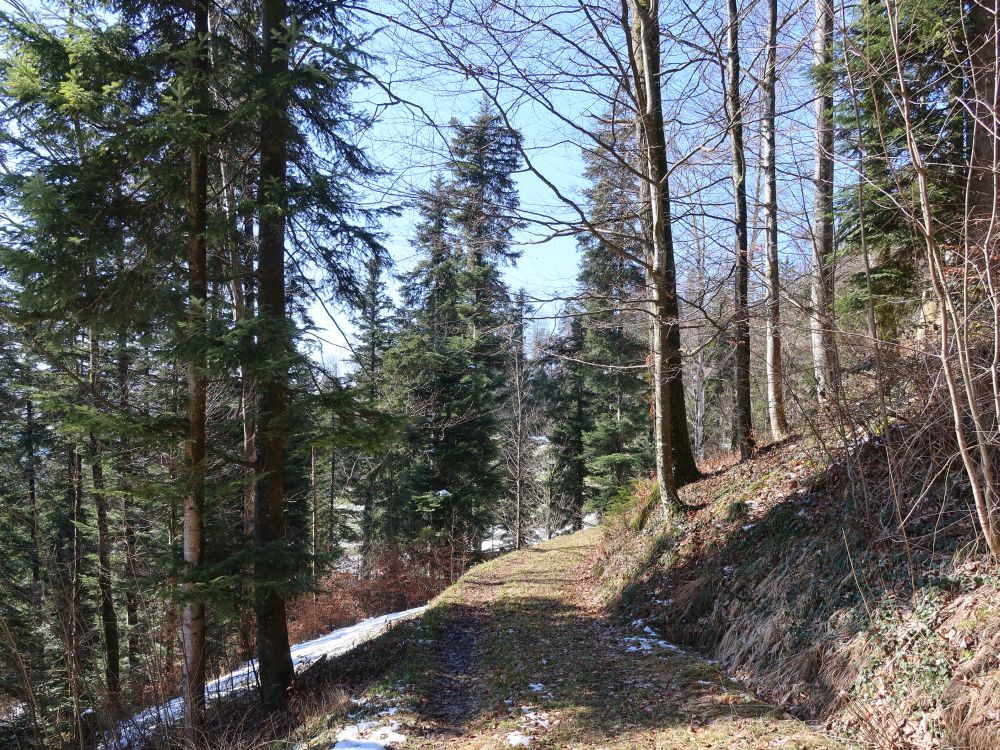 Waldweg