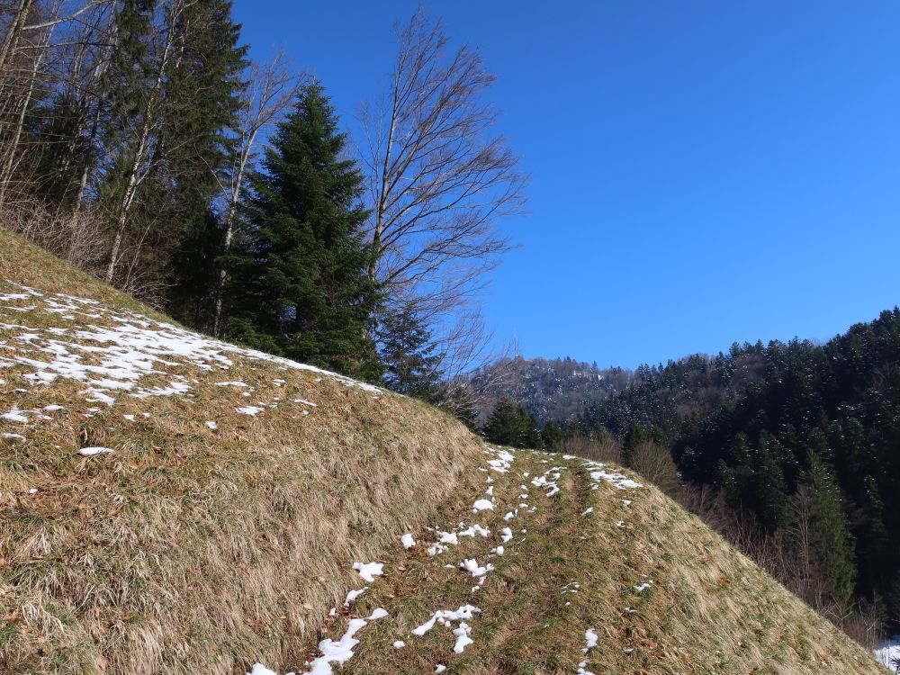 Wiesenpfad und Hörnli