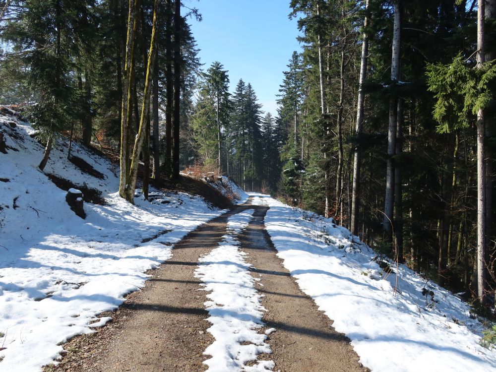 Waldweg