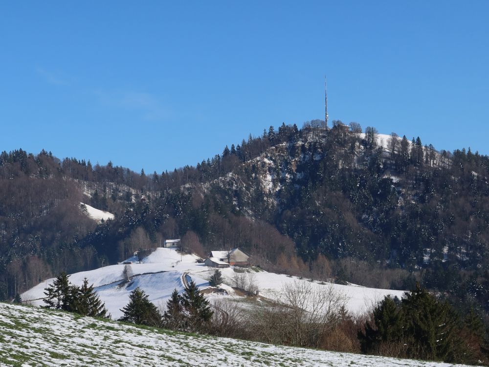 Blick zum Hörnli