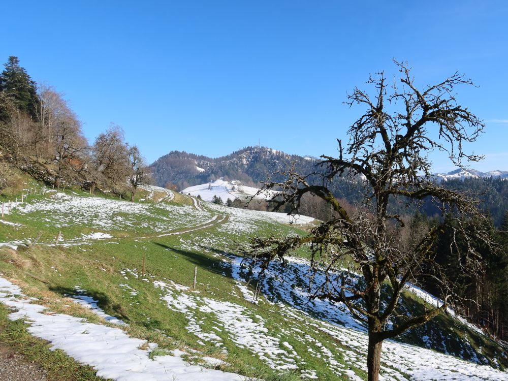 Blick zum Hörnli