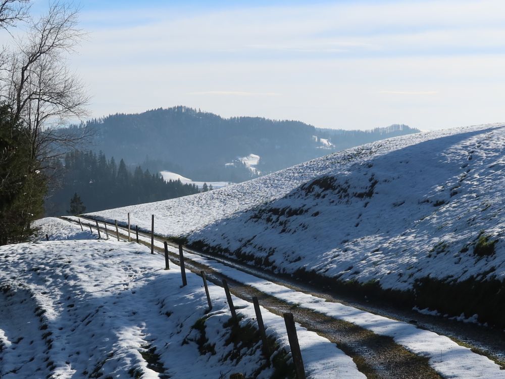 winterlicher Wirtschaftsweg