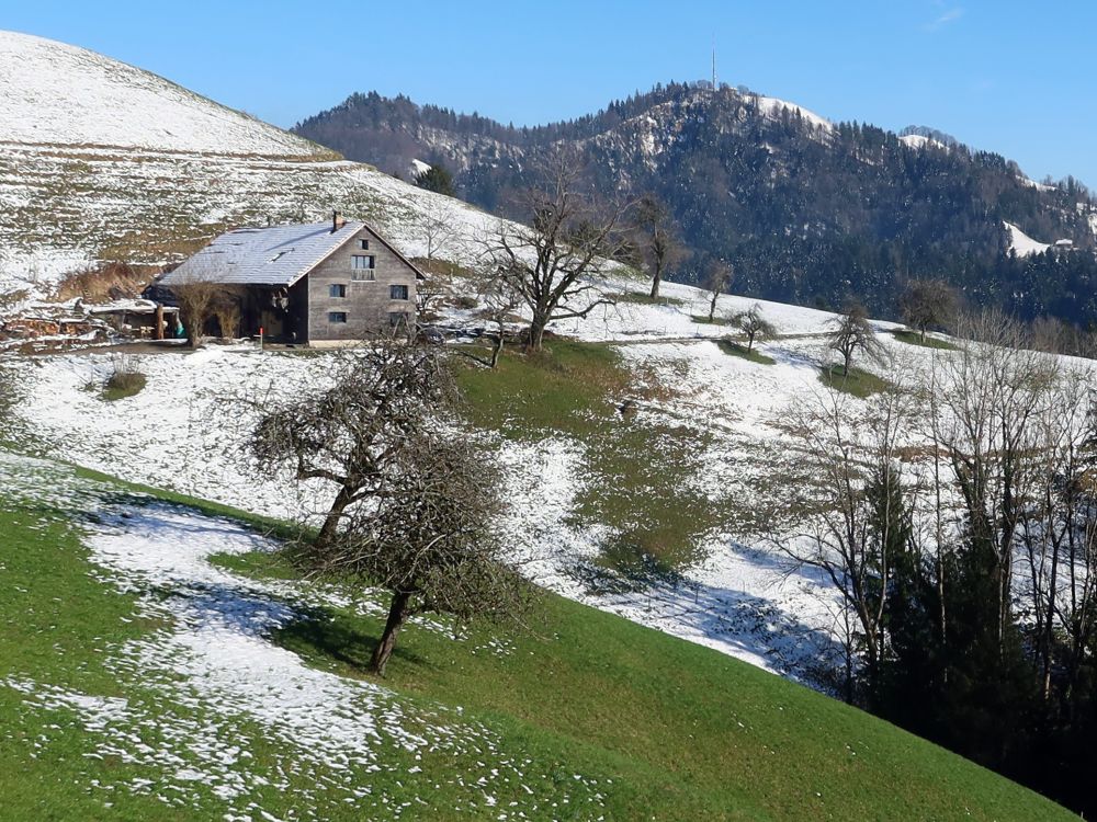 Blick zum Hörnli