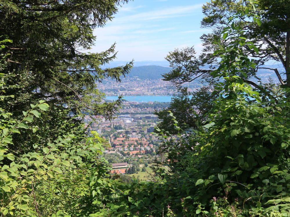 Zürich am Zürichsee