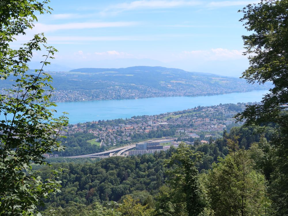Zürich am Zürichsee