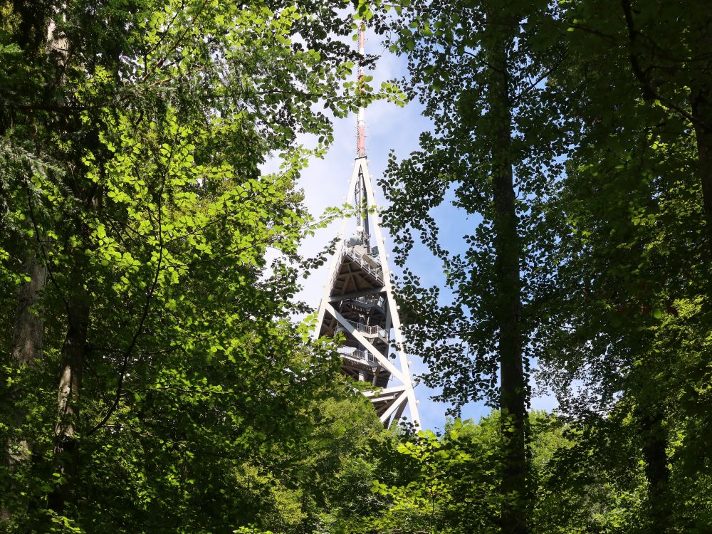 Aussichtsturm auf dem Uetliberg