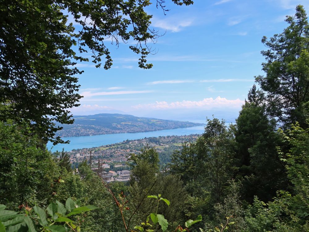 Zürich am Zürichsee